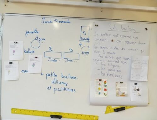 Comment fleurir l’école